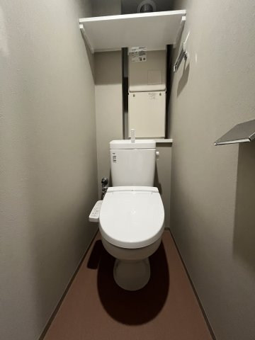 アルティザ氷川台0101号室 トイレ