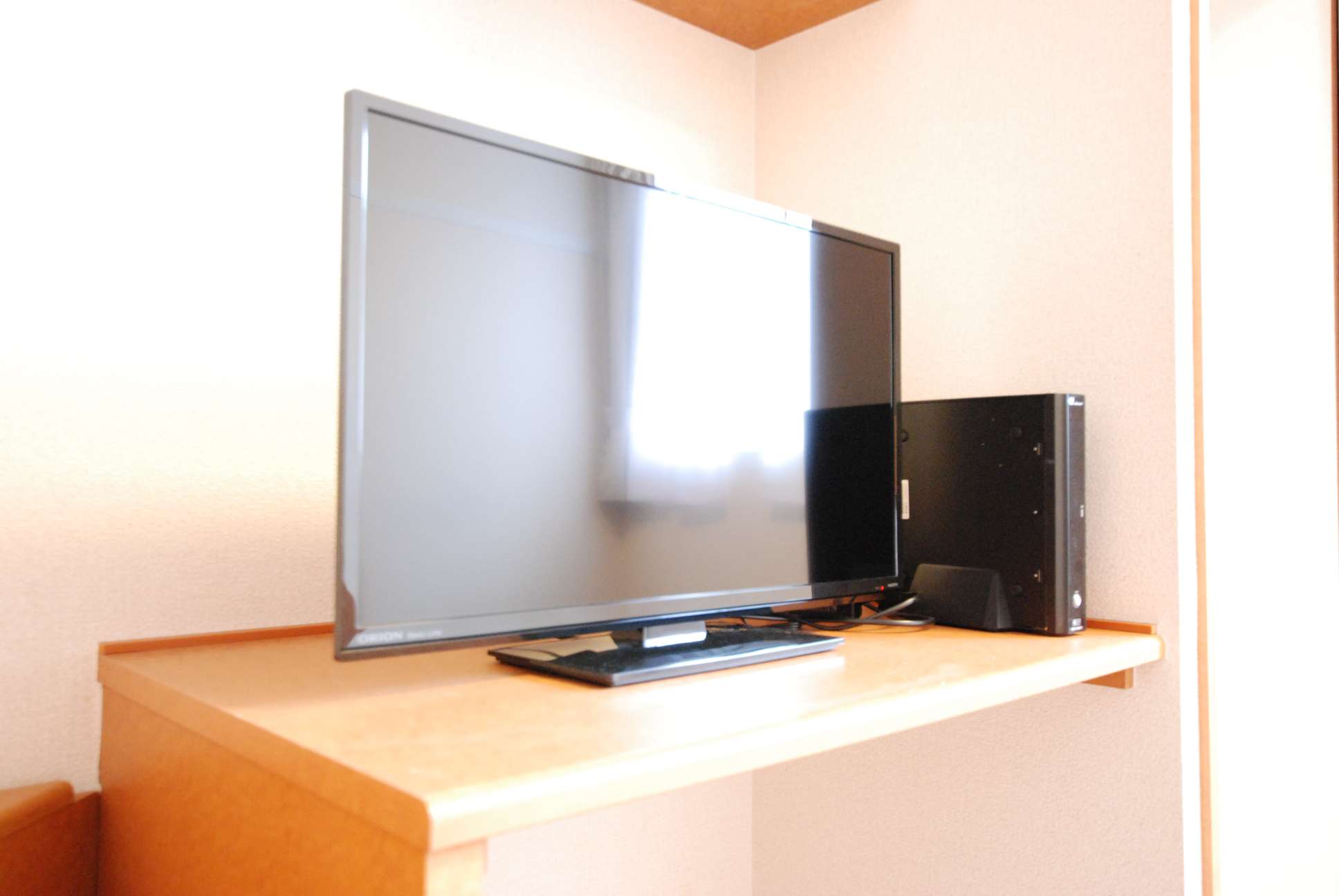 レオパレスＭＡＸ209号室 テレビ