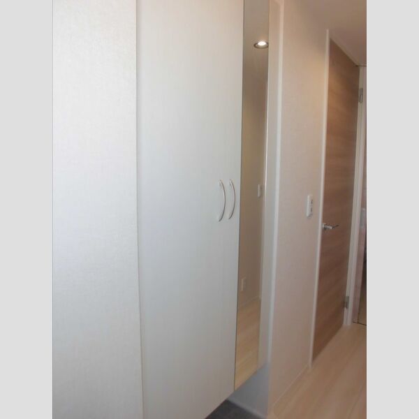 坂戸若葉エテルネル303号室 玄関