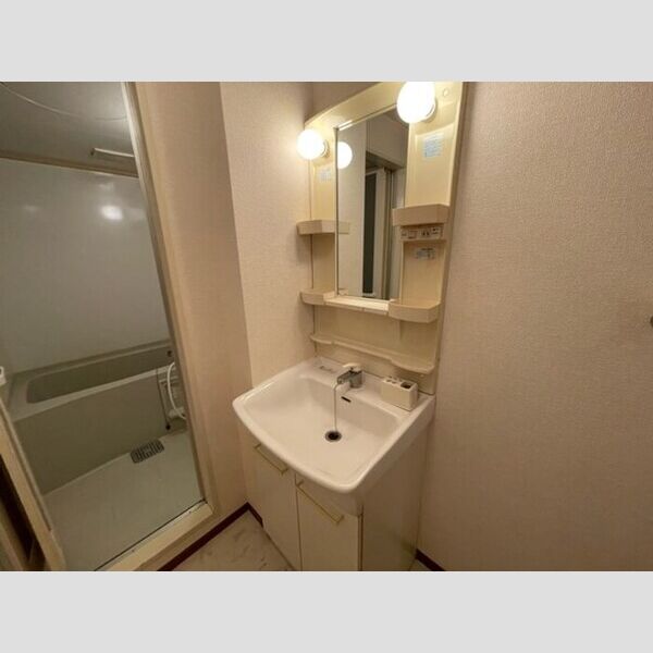 フローラルコート202号室 洗面所