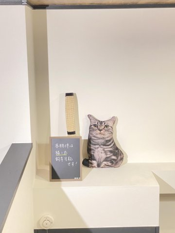 コーポ逆井108号室 猫1匹飼育可能です（※条件あり）