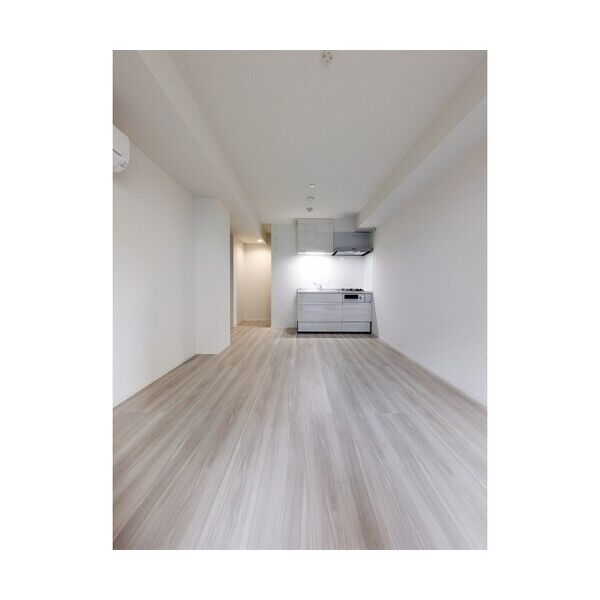 LAPIN湘南101号室 リビング