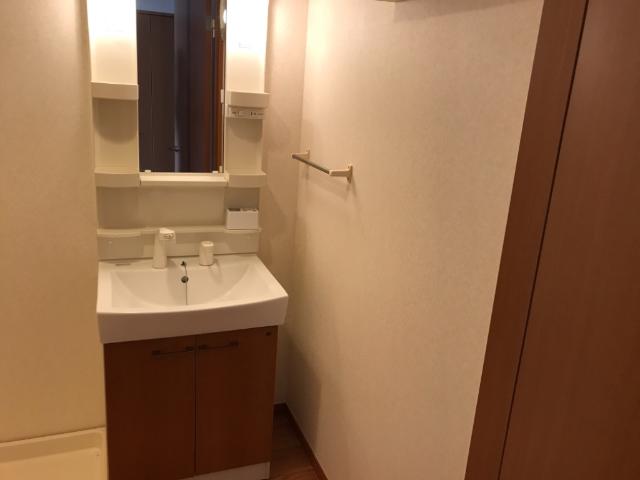 ステイブル湘南Ⅱ103号室 洗面