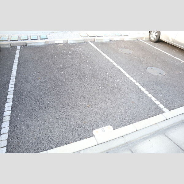 メゾン ド ソレイユ　E105号室 駐車場