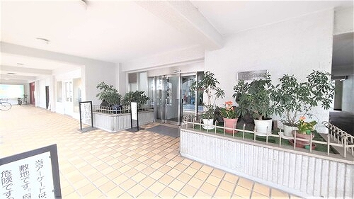 ハイネス富士見ヶ丘 ※2024年4月撮影