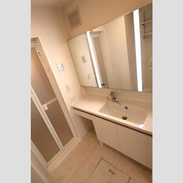 ルリアン江戸川301号室 洗髪洗面化粧台