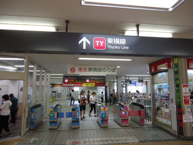 テラス菊名0102号室 【その他】菊名駅(東急 東横線)まで622ｍ