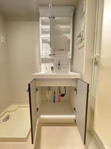 DIPS練馬春日町205号室 洗面