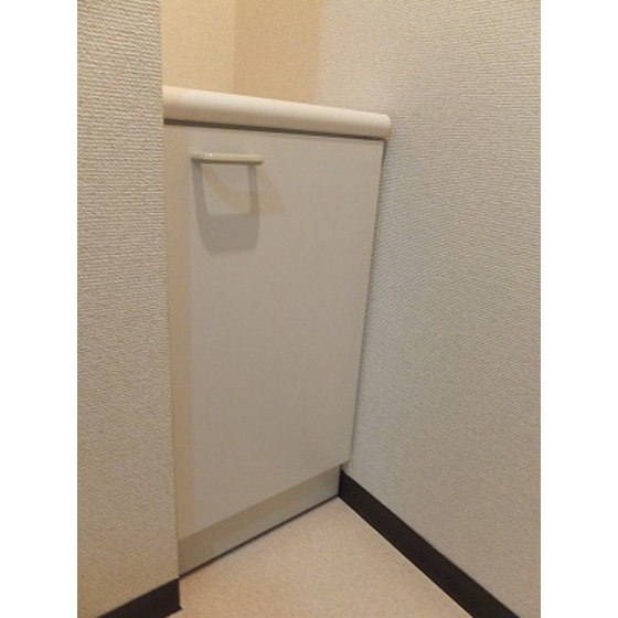 クレール秀光0305号室 トイレ内収納