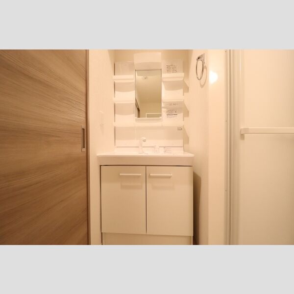 アヴァンスコート参番館103号室 洗面