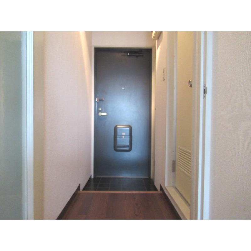 ワコーレエレガンスさがみ野第13階 玄関