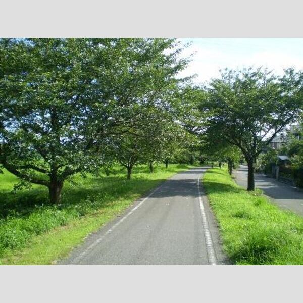 パークサンハイム パークサンハイム