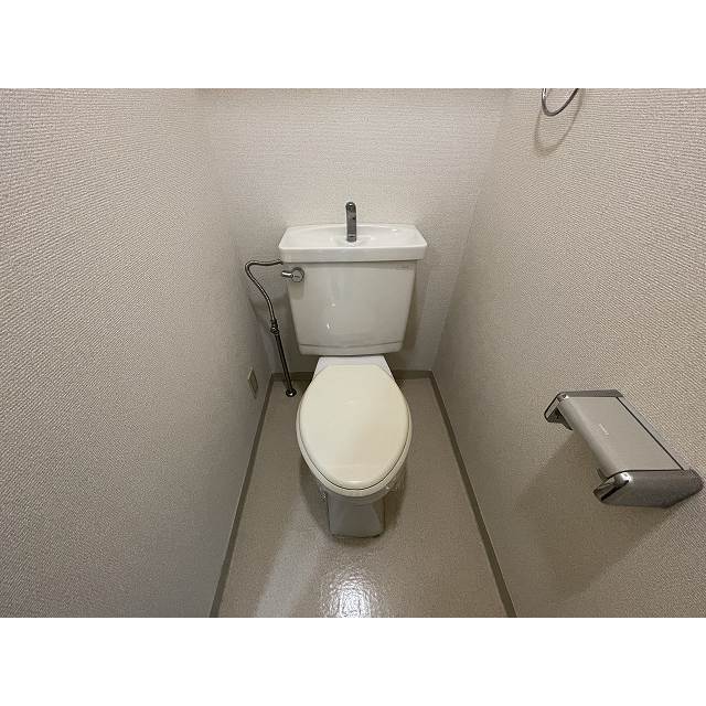 ドミール上池台0101号室 トイレ