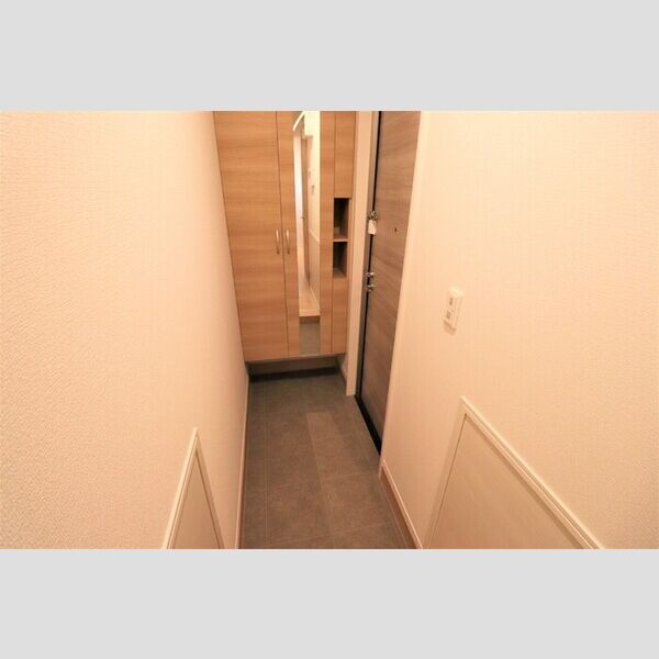 Tスクエア越ヶ谷105号室 玄関