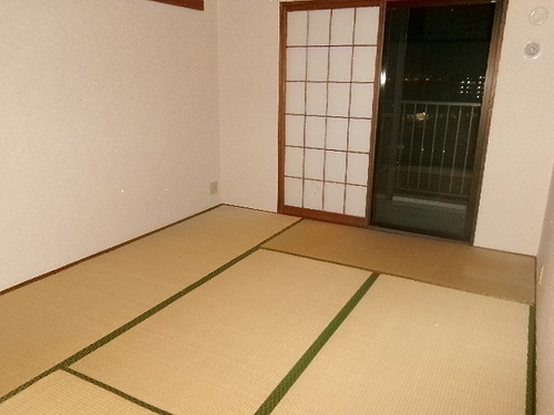 東急ドエル府中ビレッジ２5階 和室