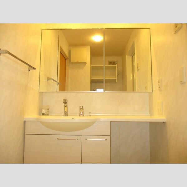 ラ・リアン　C・D　C棟301号室 洗髪洗面化粧台