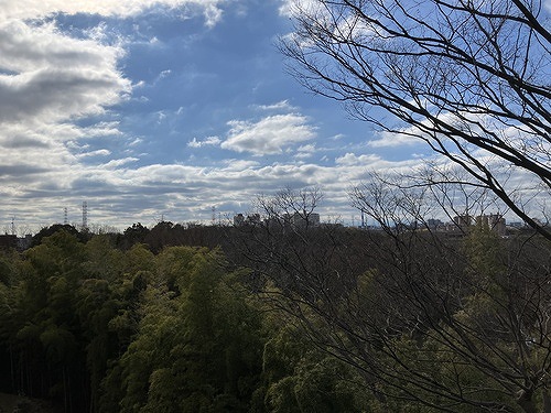 グレーシアパーク仲町台5階 バルコニーからの眺望