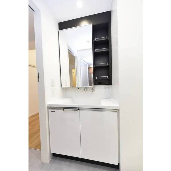 パークルール大手町0802号室 洗面