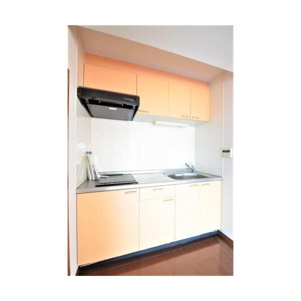 ウイングピア美園306号室 キッチン