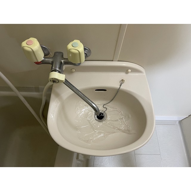 ドミール上池台0101号室 洗面台