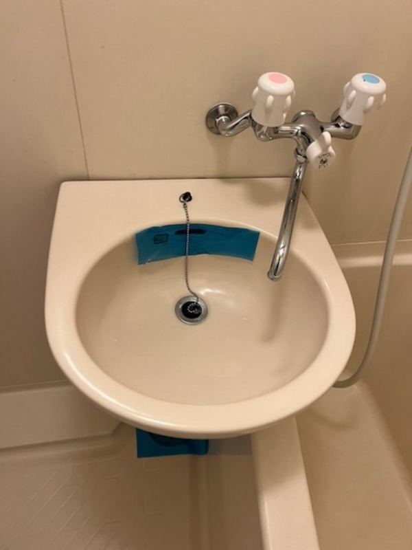 ロイヤルアメニティー東池袋 洗面