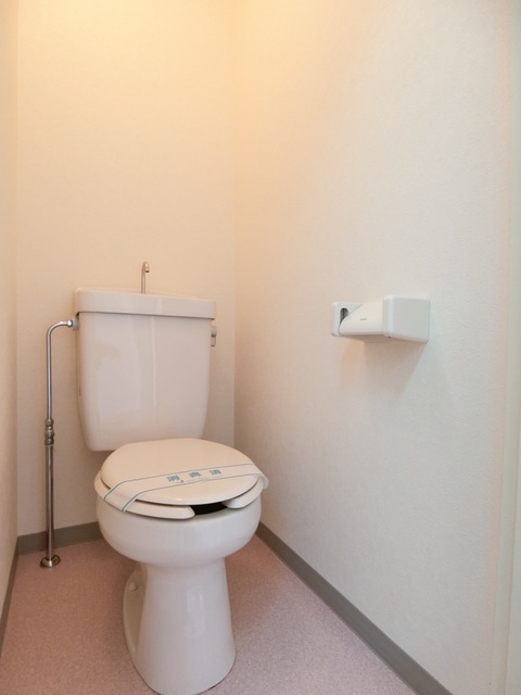 ＣＤＥ（ツェーデーエー）0105号室 トイレ