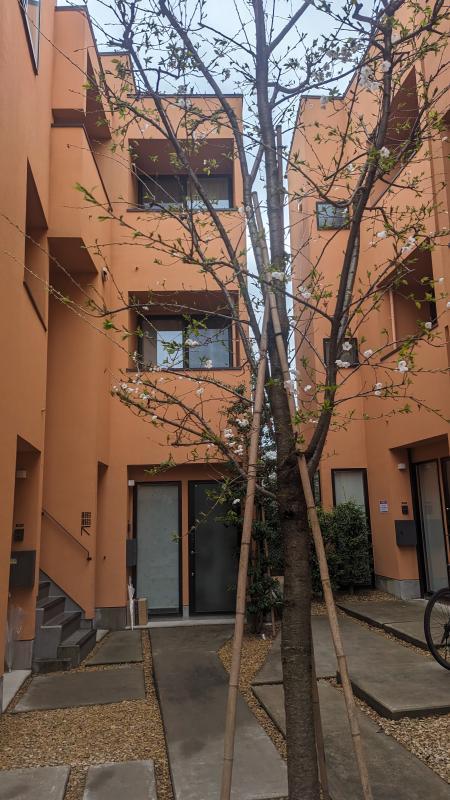 パティオ梅ヶ丘E2階 エントランス