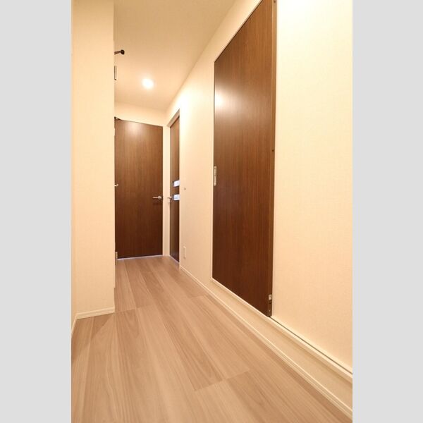 メゾン ド 常盤202号室 玄関