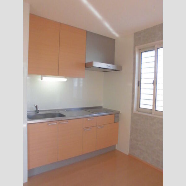 ウェルス システムキッチン