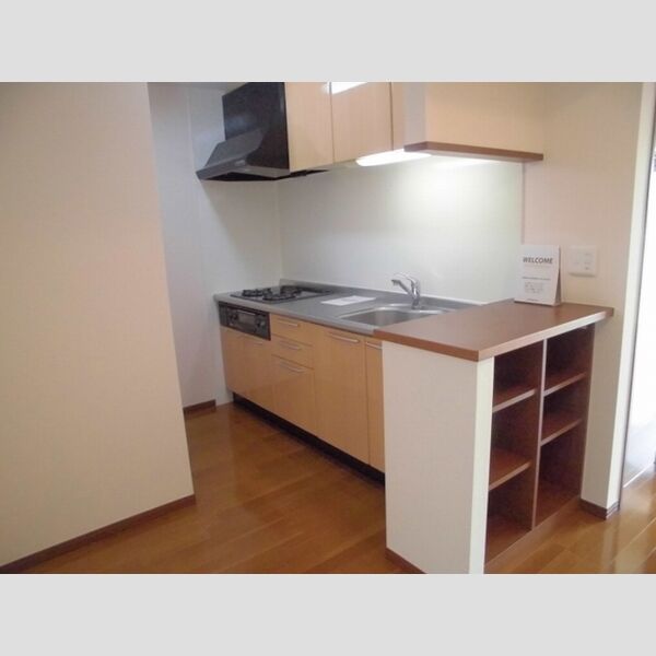 クレ・エスポワール901号室 キッチン