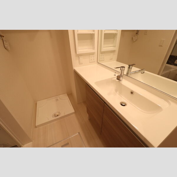 D-ROOM新宿Ⅰ-B202号室 洗髪洗面化粧台　ドレッサータイプ