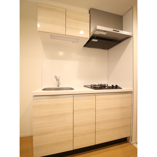 プレール・ドゥーク赤塚103号室 システムキッチン