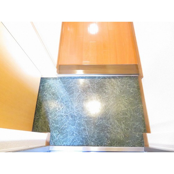 ロイヤルヒルズ浦和0305号室 玄関