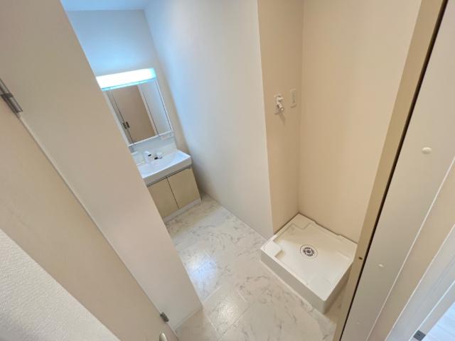 メゾン・ド・ルナ202号室 洗面