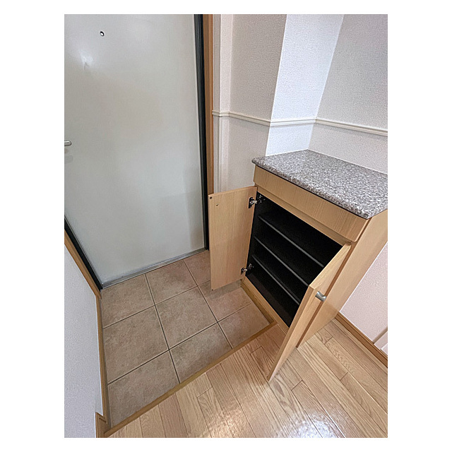 コスモリード大森町0201号室 玄関