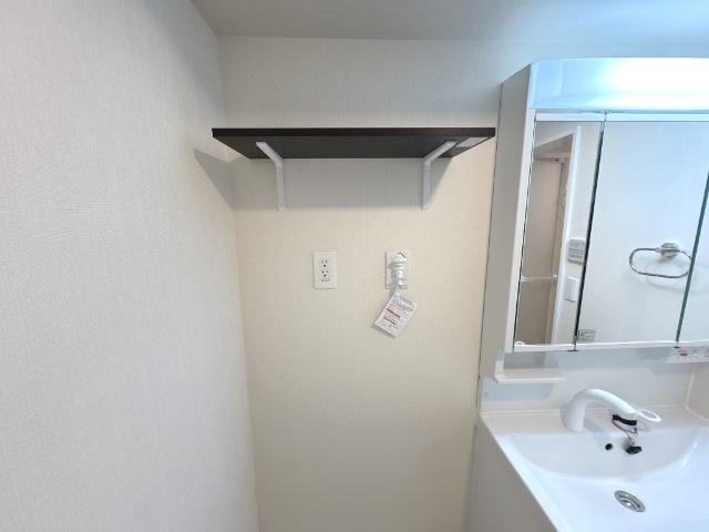 ベッシア・ノーブル101号室 洗濯機上部棚