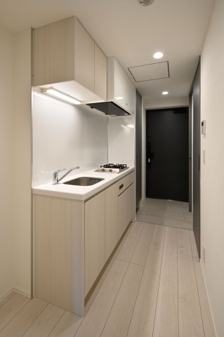 SYFORME MORISHITAⅡ401号室 同タイプの別部屋の写真です。