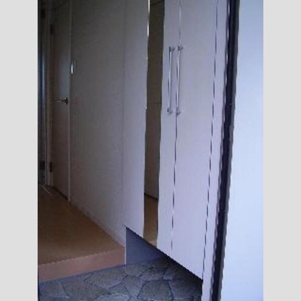 レセンテ南越谷206号室 玄関収納