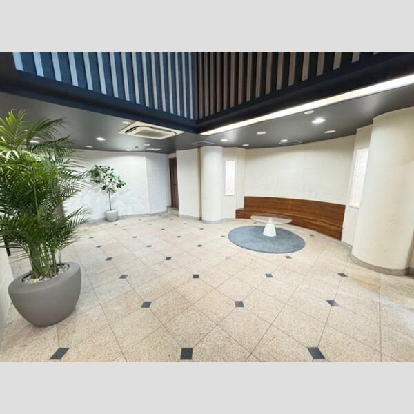 カスタリア銀座Ⅲ0703号室 エントランス