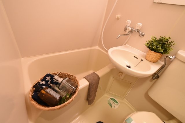 菱和パレス旗の台303号室 同建物別部屋の参考画像