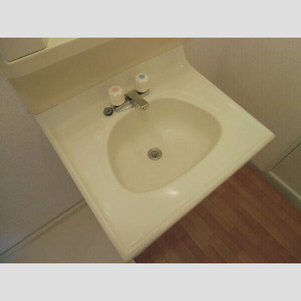 パークハイム　ABA203号室 A203(洗面台)