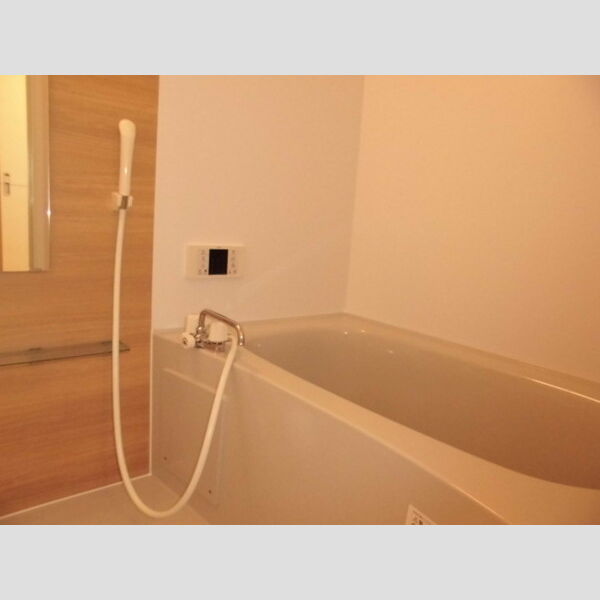 プレジール102号室 浴室