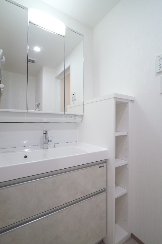 プレジオ川口13階 洗面