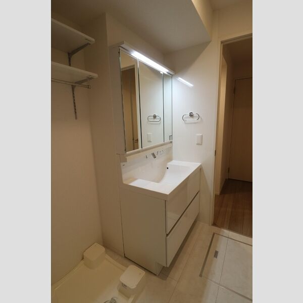 ムーンダスト美園105号室 洗髪洗面化粧台