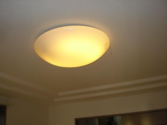 メゾン・ド・ケヤキ101号室 室内照明