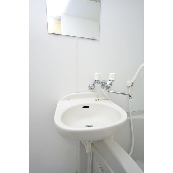 タミーハイツ本厚木0209号室 洗面