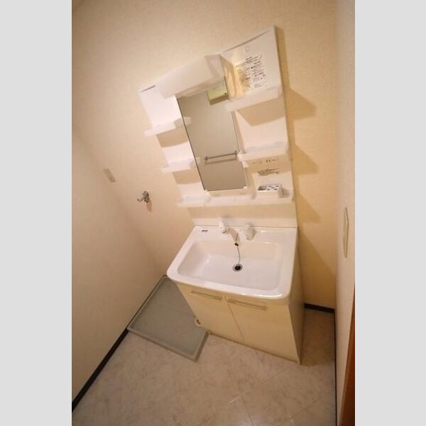 ヴェルドミール カシマ205号室 洗髪洗面化粧台