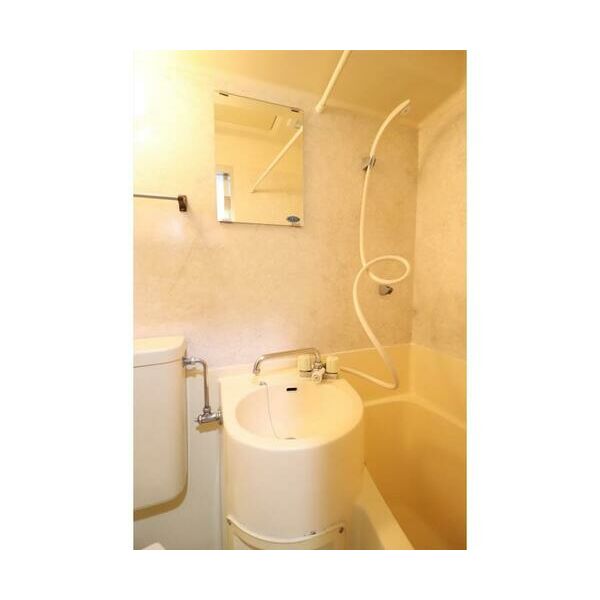 メイプルハウス町田203号室 洗面