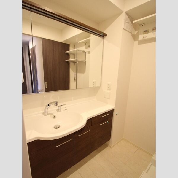 イーレクスN305号室 洗面洗髪化粧台