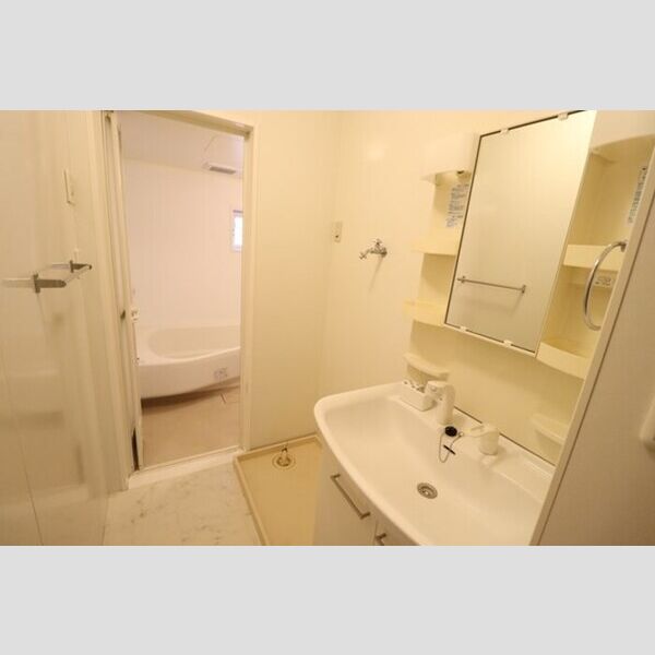 リビングタウン本庄　B101号室 洗髪洗面化粧台